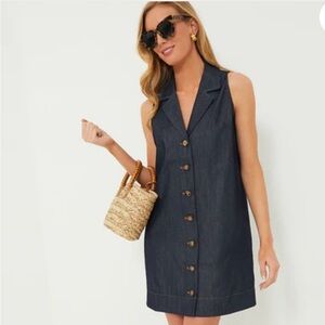 Pomander Place Dark Blue Jean  Button-Down Mini Dress Micah Dress